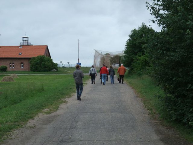 2009