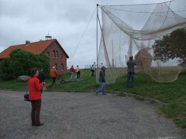 2009