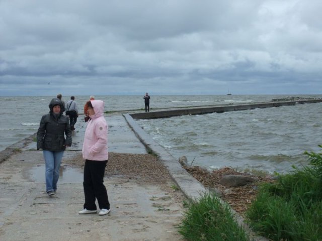 2009