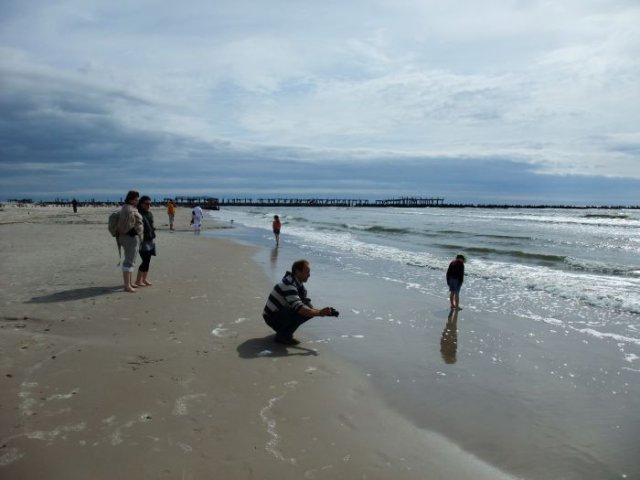 2009