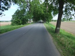 Lesroy