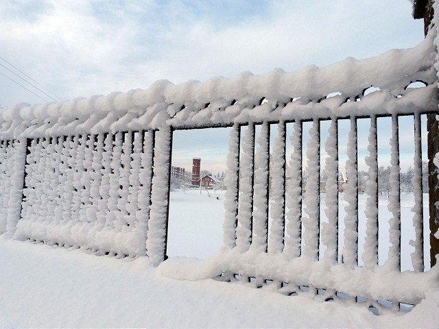 Winter