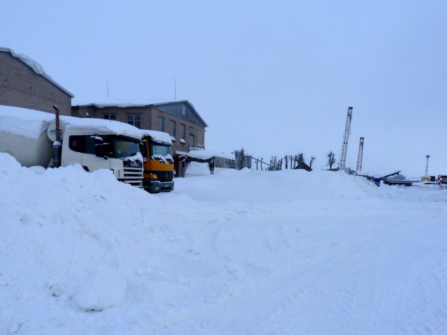 Winter
