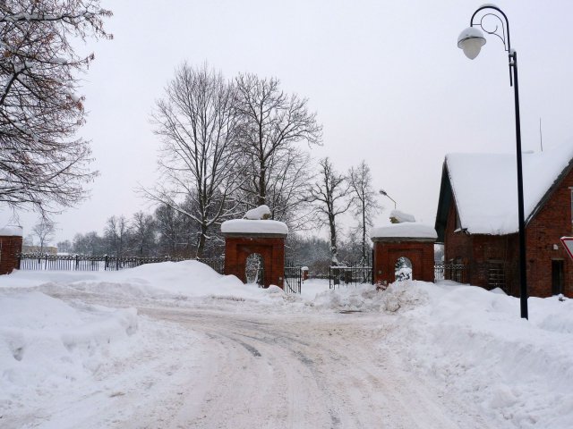 Winter