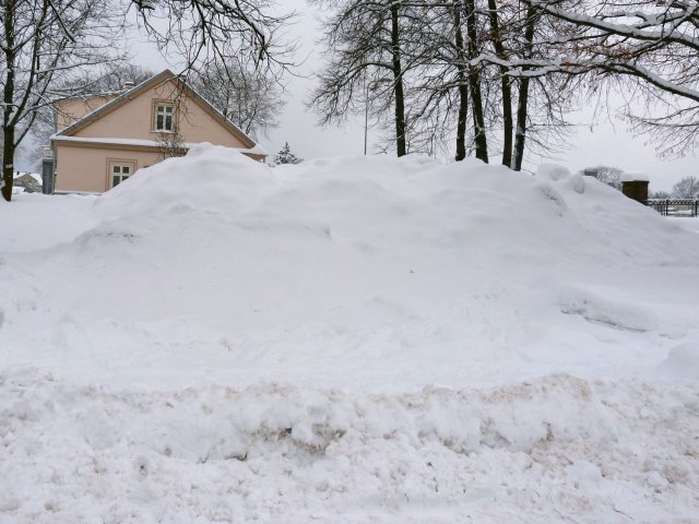 Winter