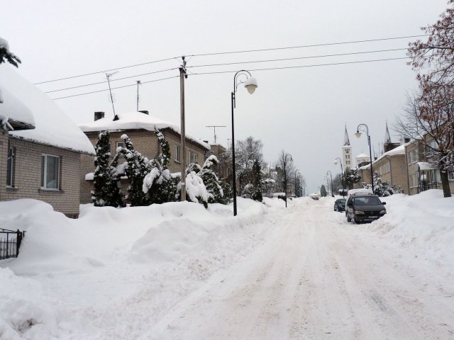 Winter