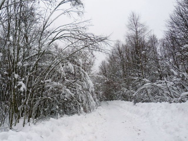 Winter
