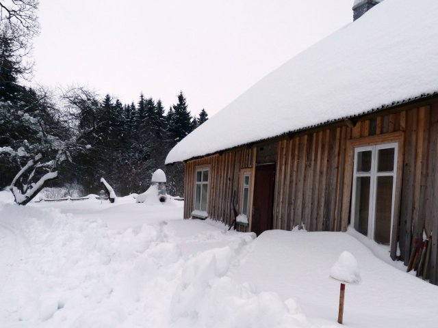 Winter