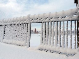 Rietavas » Winter