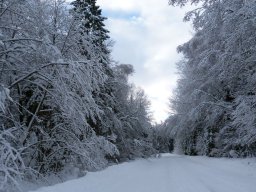 Winter