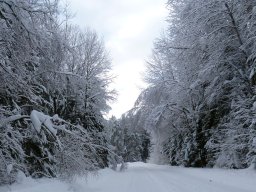 Winter