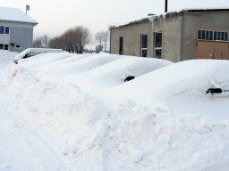 Winter
